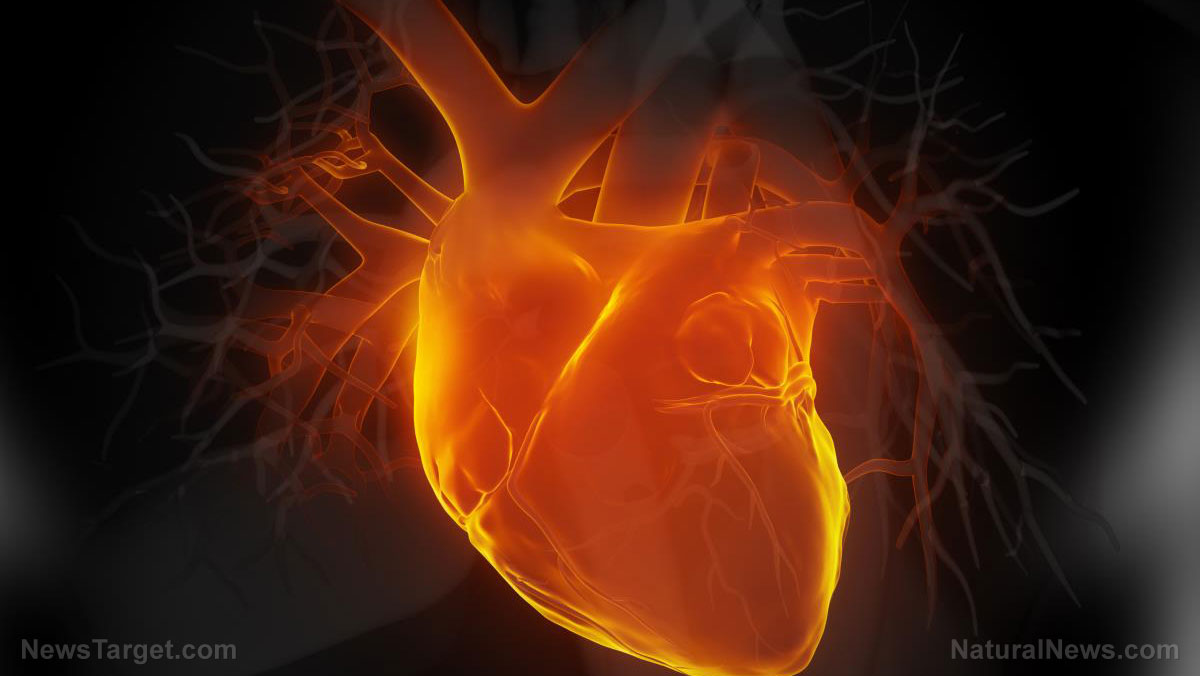 Coronary heart disease – causes, side effects and treatments at