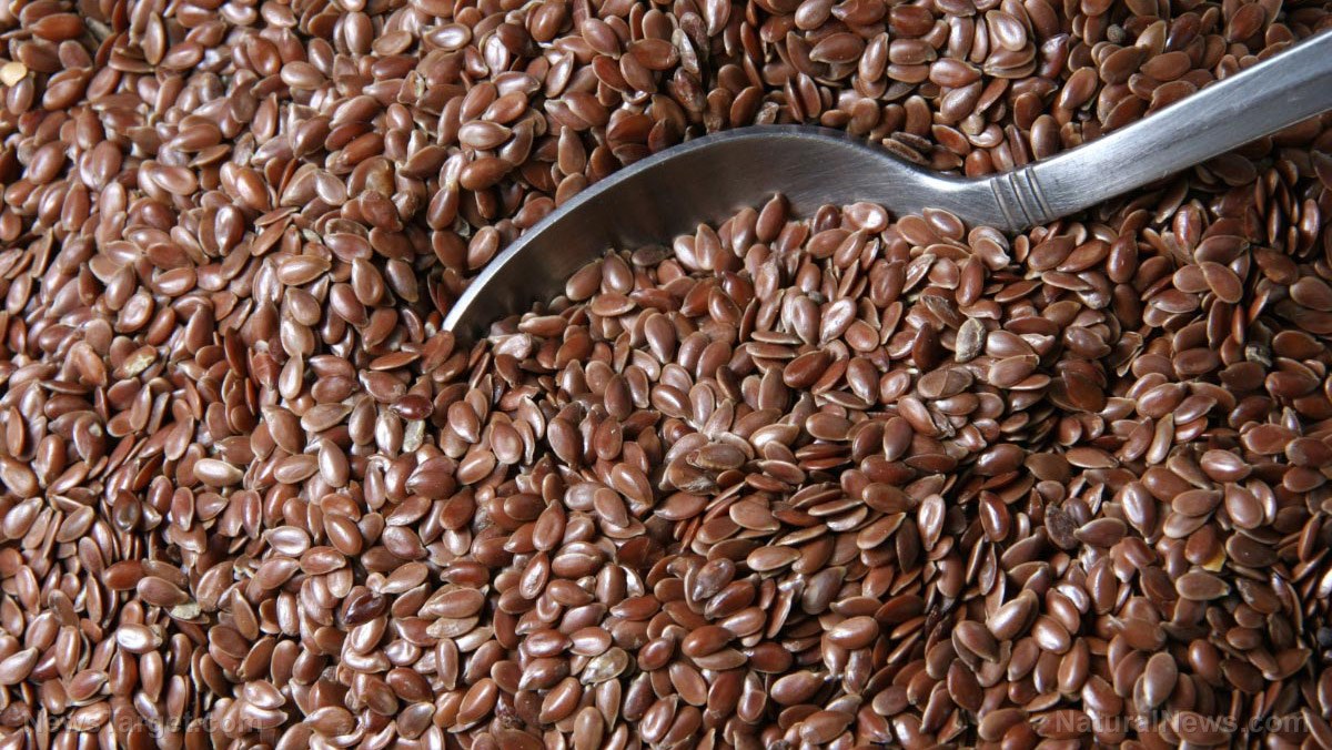 Flaxseed Sources Health Benefits Nutrients Uses And Constituents At 2551