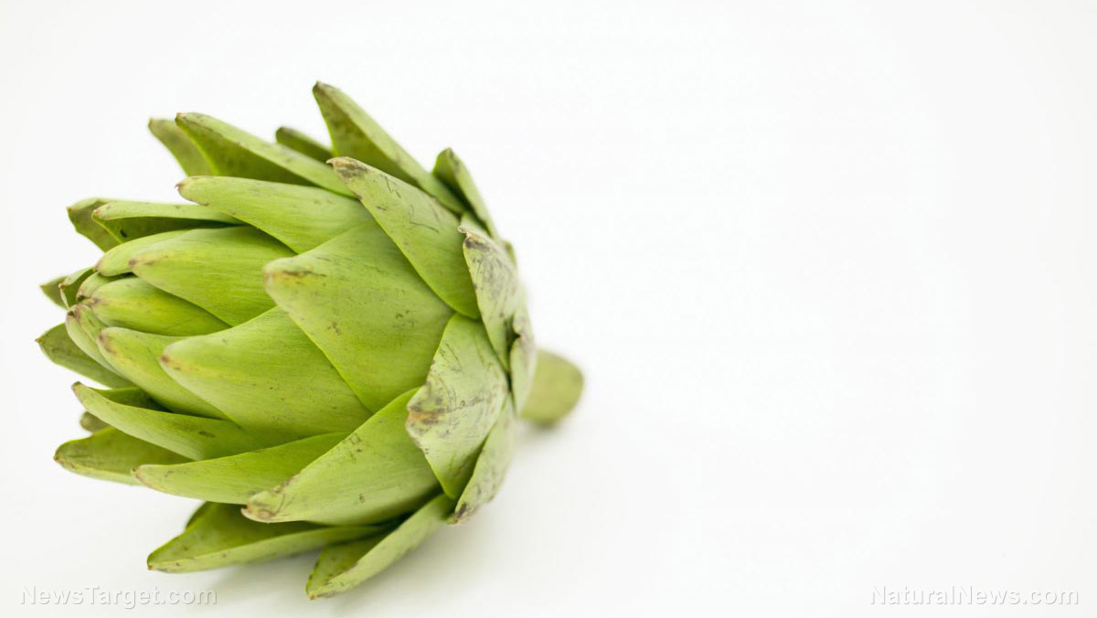 Artichoke sources, health benefits, nutrients, uses and constituents at